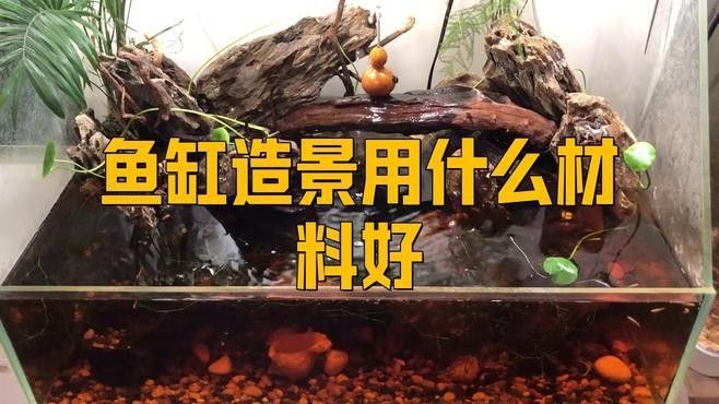 龍魚缸裝飾物有哪些材質 龍魚缸裝飾物有哪些材質 龍魚百科 第7張
