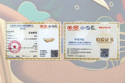 金龍魚證書丟了怎么辦：金龍魚證書丟失了怎么辦理