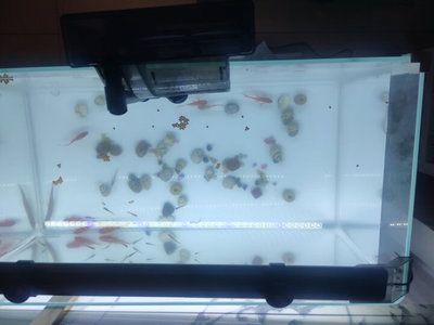 森森魚缸600（森森魚缸600價格對比分析）