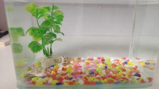 森森魚缸600（森森魚缸600價格對比分析）