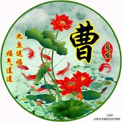 微信龍魚頭像：微信龍魚頭像搜索結果 微信龍魚頭像：微信龍魚頭像搜索結果 龍魚百科 第2張