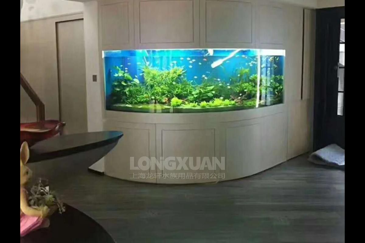 如何判斷一個龍缸品牌的質量？ 如何判斷一個龍缸品牌的質量？ 龍魚百科 第2張