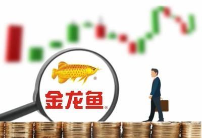 金龍魚估值多少合理呢（金龍魚的估值合理嗎）