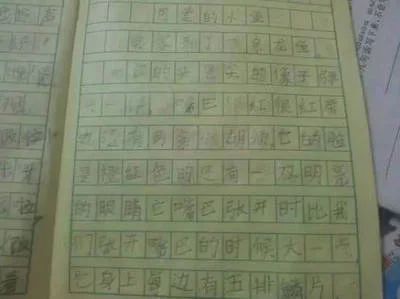 龍魚品相和介紹怎么寫的作文三百字，300字左右關于龍魚品相和介紹的作文：《龍魚》 龍魚品相和介紹怎么寫的作文三百字，300字左右關于龍魚品相和介紹的作文：《龍魚》 龍魚百科 第2張