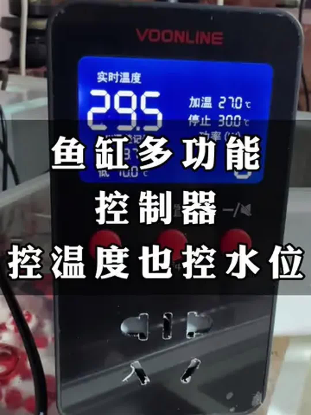 如何保持過背金龍生長水溫穩定？