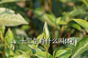 紅龍魚是什么生肖（什么屬相不能養紅龍魚）