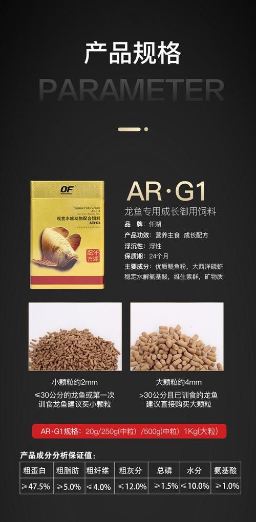 金龍魚吃食又吐出來