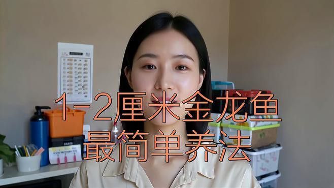 金龍魚藍(lán)底好還是金底好養(yǎng)活