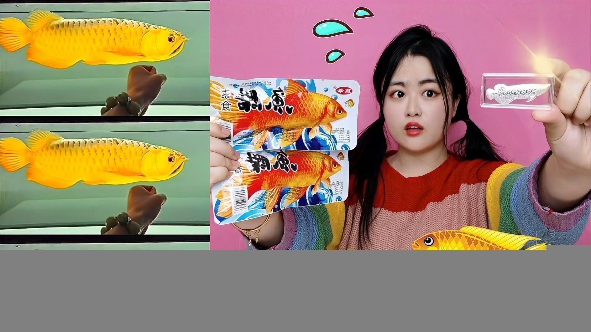 如何保持金龍魚缸水質(zhì)穩(wěn)定？ 如何保持金龍魚缸水質(zhì)穩(wěn)定？ 龍魚百科 第2張