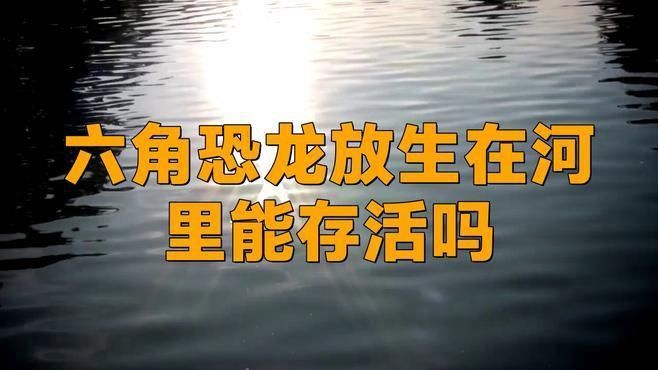 六角龍放生的大忌