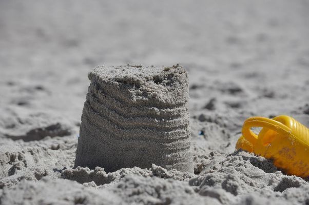 金頭過背金龍魚20厘米：金頭過背金龍魚價格