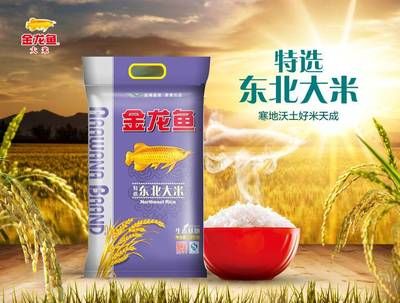 鳳凰紅龍魚價格表圖片高清（鳳凰紅龍魚價格表圖片高清大圖大全）