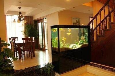 魚缸放在門口好不好，如何維護魚缸風水效果門口魚缸的招財技巧
