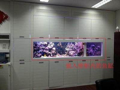 魚缸放在門口好不好，如何維護魚缸風水效果門口魚缸的招財技巧