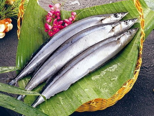 進口紅龍魚清關手續：進口紅龍魚清關手續包括以下幾個步驟包括以下幾個步驟