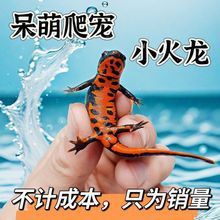 火龍魚是清道夫嗎 火龍魚是清道夫嗎 龍魚百科 第1張