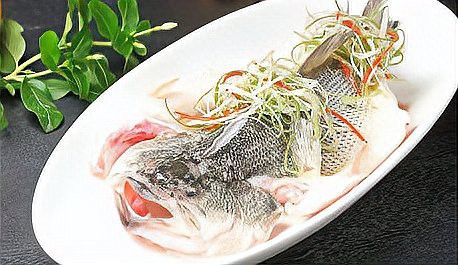 火龍魚是清道夫嗎 火龍魚是清道夫嗎 龍魚百科 第3張