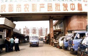 成都市金龍魚港酒店地址（成都熱門酒店預訂攻略）