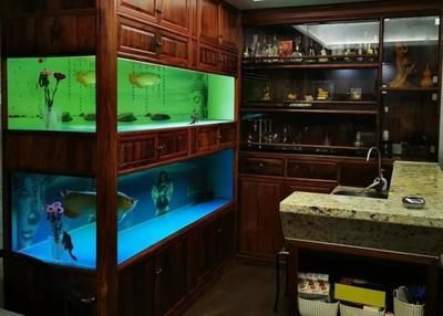 龍魚缸的尺寸你買對了嗎?:“最大的龍魚缸”具體尺寸根據龍魚的尺寸而定 龍魚百科 第2張 龍魚缸的尺寸你買對了嗎?:“最大的龍魚缸”具體尺寸根據龍魚的尺寸而定 龍魚缸的尺寸你買對了嗎?:“最大的龍魚缸”具體尺寸根據龍魚的尺寸而定 龍魚百科 第2張