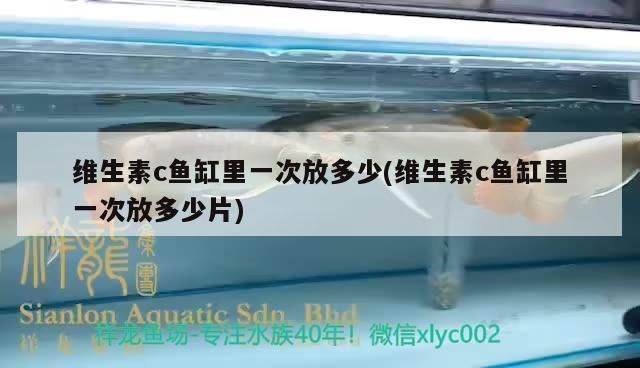 雪龍魚免疫增強食譜推薦：清蒸雪龍魚湯的烹飪技巧雪龍魚湯的烹飪技巧