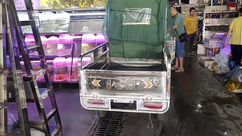 銀龍魚和帶魚哪個更貴？ 銀龍魚和帶魚哪個更貴？ 龍魚百科 第9張