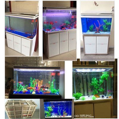 西龍魚缸最怕三個原因（西龍魚缸中常見的三個問題及其解決方法）