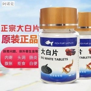 龍魚用什么藥驅蟲最好：龍魚常見寄生蟲種類介紹