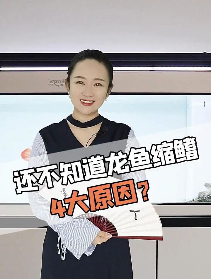 龍魚縮鰭怎么調整 龍魚縮鰭怎么調整 龍魚百科 第3張