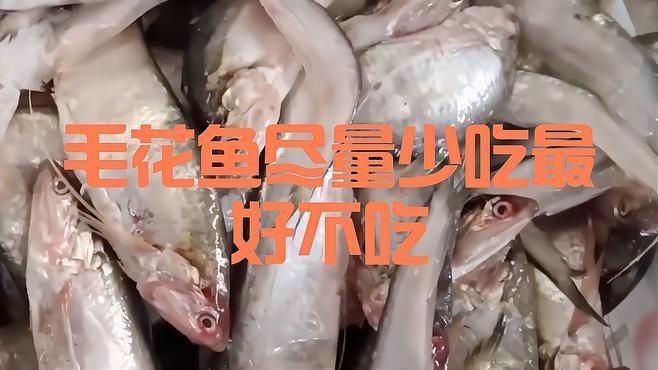 毛魚為何要盡量少吃 毛魚為何要盡量少吃 龍魚百科 第2張