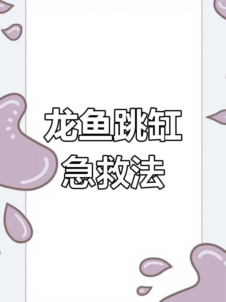 龍魚跳缸后如何判斷其受傷程度？