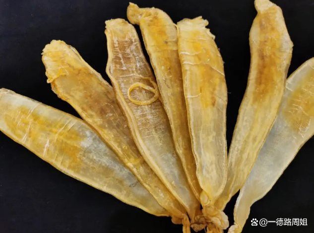 金龍魚膠怎么樣