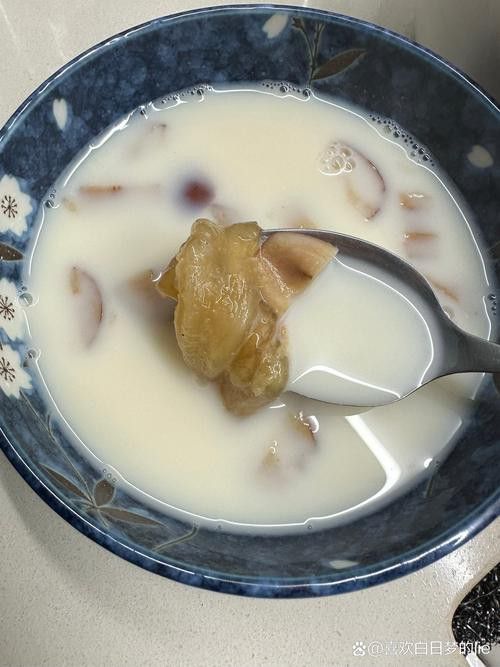 金龍魚膠怎么樣