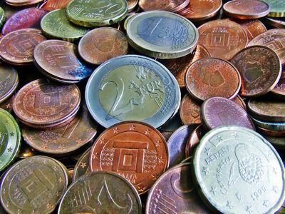 金龍魚35公分還沒過背：如何判斷金龍魚生長緩慢
