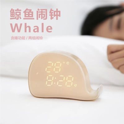 福龍魚一只多少錢一條啊：如何辨別福龍魚市場行情分析，高端福龍魚品種介紹 福龍魚一只多少錢一條啊：如何辨別福龍魚市場行情分析，高端福龍魚品種介紹 龍魚百科 第5張