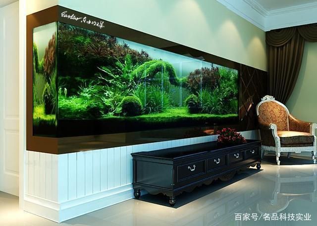 魚缸增氧泵噪音大解決方案，增氧泵噪音大影響魚類嗎