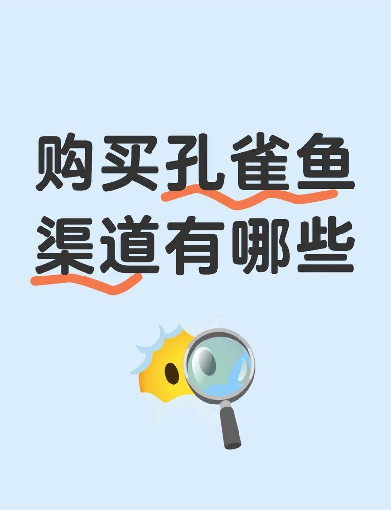 網上買魚苗哪個平臺最靠譜？ 網上買魚苗哪個平臺最靠譜？ 龍魚百科 第1張
