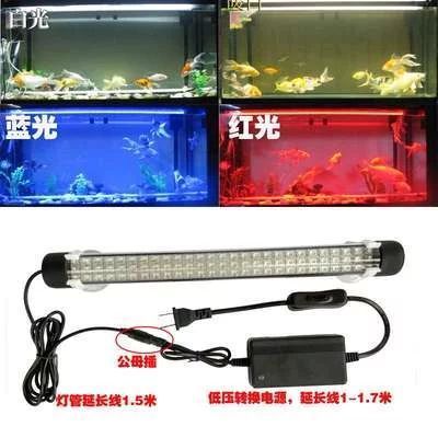 龍魚燈正確放置方法：正確的龍魚燈放置方法 龍魚燈正確放置方法：正確的龍魚燈放置方法 龍魚百科 第1張
