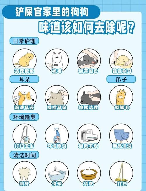 混養時如何避免沖突？ 混養時如何避免沖突？ 龍魚百科 第3張