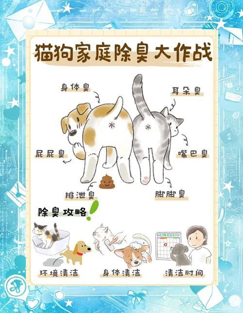 混養時如何避免沖突？ 混養時如何避免沖突？ 龍魚百科 第2張