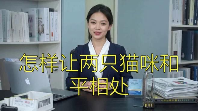 混養時如何避免沖突？ 混養時如何避免沖突？ 龍魚百科 第7張