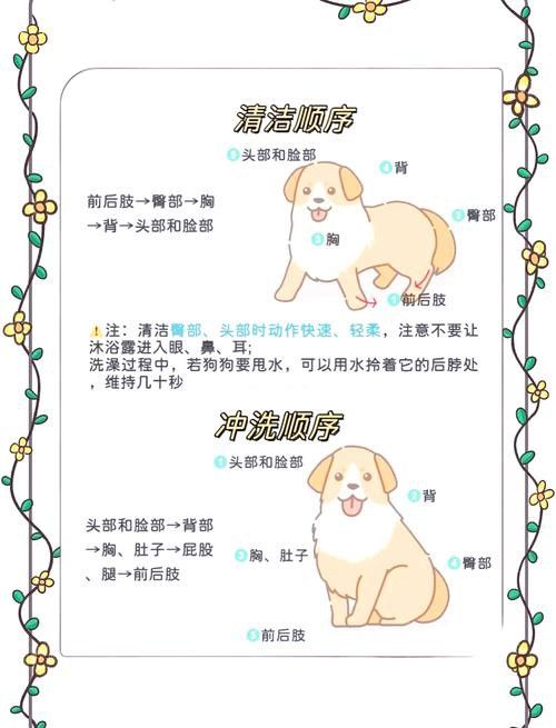 混養時如何避免沖突？ 混養時如何避免沖突？ 龍魚百科 第6張