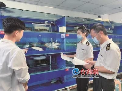 金龍魚怎么做檢疫報(bào)告：金龍魚怎么做檢疫報(bào)告制作步驟僅為一份可能的檢疫報(bào)告制作步驟