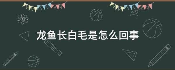 龍魚尾部長白毛怎么回事（龍魚尾部長白毛怎么辦）
