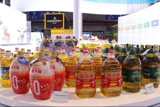 金龍魚去哪里進貨好 金龍魚去哪里進貨好 龍魚百科 第8張