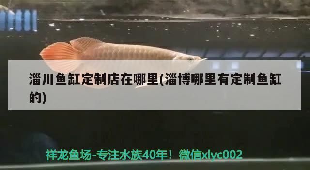 <strong><mark>淄川</mark></strong>魚缸定制店在哪里(淄博哪里有定制魚缸的)