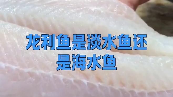 龍利魚是巴沙魚嗎 龍魚百科 第3張 龍利魚是巴沙魚嗎 龍利魚是巴沙魚嗎 龍魚百科 第3張