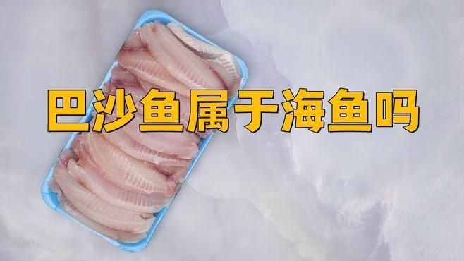 龍利魚是巴沙魚嗎 龍魚百科 第4張 龍利魚是巴沙魚嗎 龍利魚是巴沙魚嗎 龍魚百科 第4張