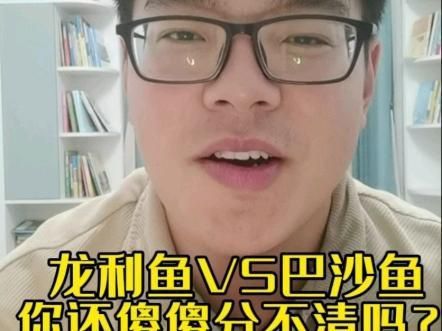 龍利魚是巴沙魚嗎 龍魚百科 第5張 龍利魚是巴沙魚嗎 龍利魚是巴沙魚嗎 龍魚百科 第5張