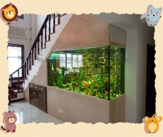 金龍魚缸圖片大全大圖視頻 金龍魚缸圖片大全大圖視頻 龍魚百科 第17張