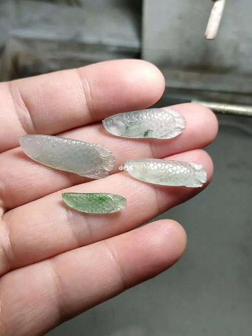 翡翠金龍魚圖片 翡翠金龍魚圖片 龍魚百科 第4張